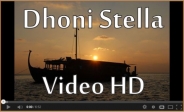 Cruise Maldives in style aboard Dhoni Stella
