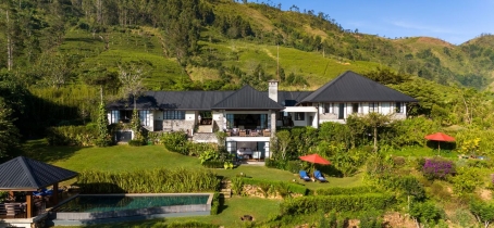 Camellia Hills